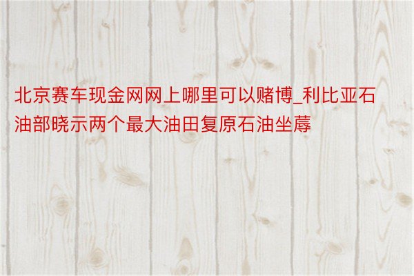 北京赛车现金网网上哪里可以赌博_利比亚石油部晓示两个最大油田复原石油坐蓐
