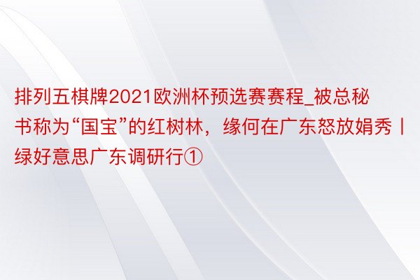 排列五棋牌2021欧洲杯预选赛赛程_被总秘书称为“国宝”的红树林，缘何在广东怒放娟秀丨绿好意思广东调研行①