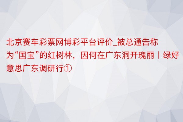 北京赛车彩票网博彩平台评价_被总通告称为“国宝”的红树林，因何在广东洞开瑰丽丨绿好意思广东调研行①